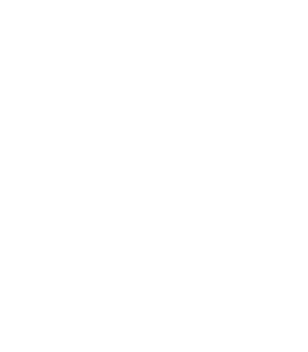Patrone Moreno